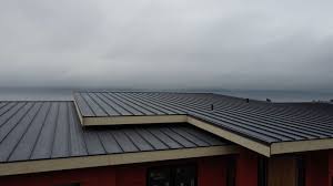 Best Emergency Roof Repair Services  in Potosi, MO